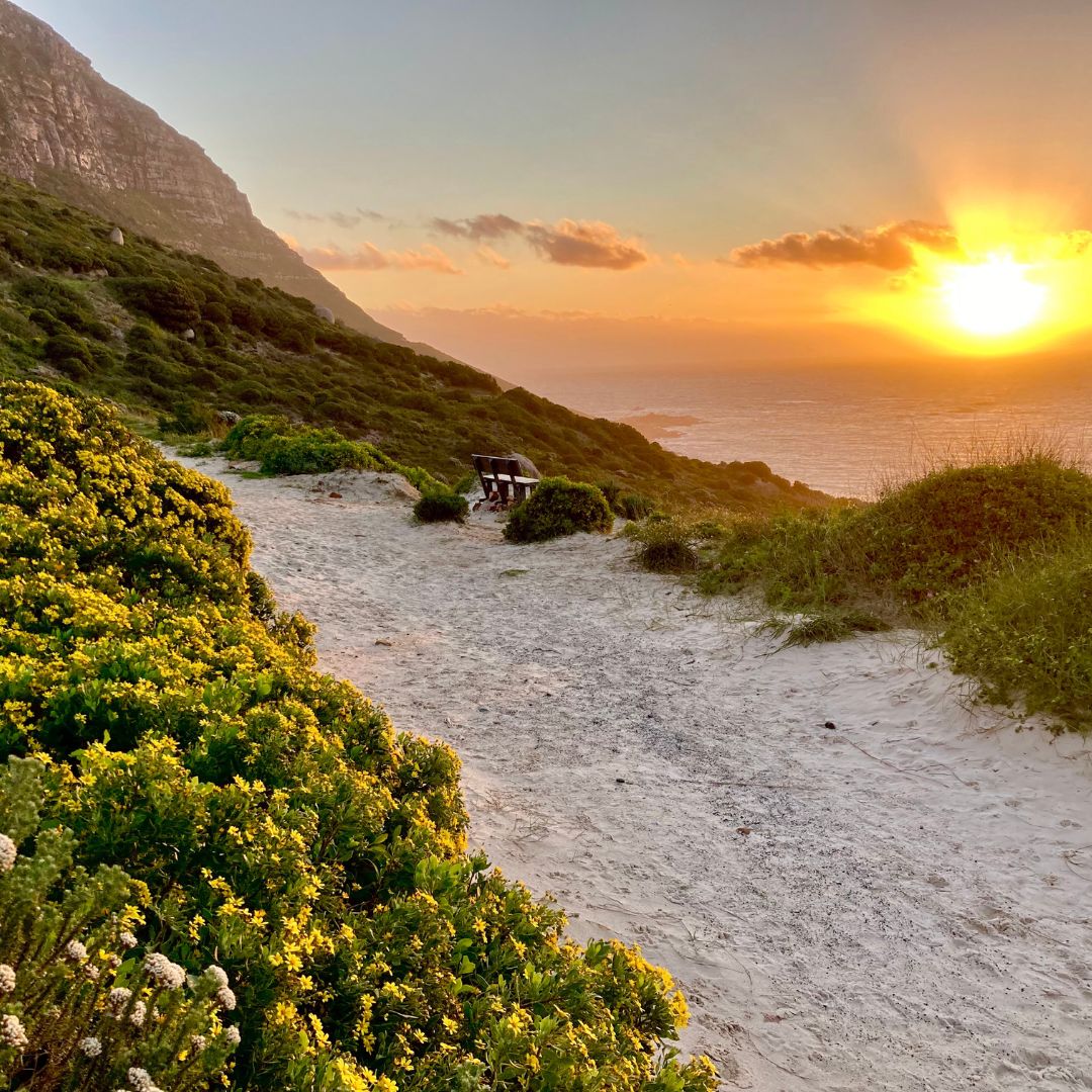 From the beach to the mountain tops, the Cape sunsets are as varied as the people who live here. 🌅 See them all from #TheTableBay.

#Capetown #ilovecapetown #capetownsbestaddress #travelsouthafrica #sunset #southafrica #freetobesouthafrica