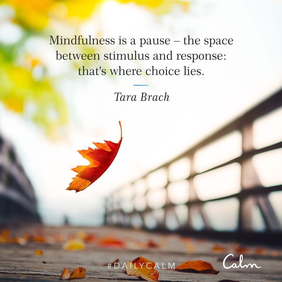 eHomGroup's tweet image. I think you'd like this session from Calm. You can listen to it for free.
calm.com/player/b-bb6Mu…