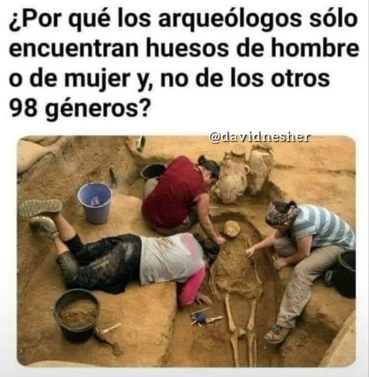 davidnesher's tweet photo. Un planteo que yo también hago sin encontrar alguien que responda desde la realidad científica... 🤔
#generobinario #loscientosdegenero
#GH2022 #Preguntaseria #PreguntaDelDia #지구에서년지성아_환영해 https://t.co/EkIraBQn1X