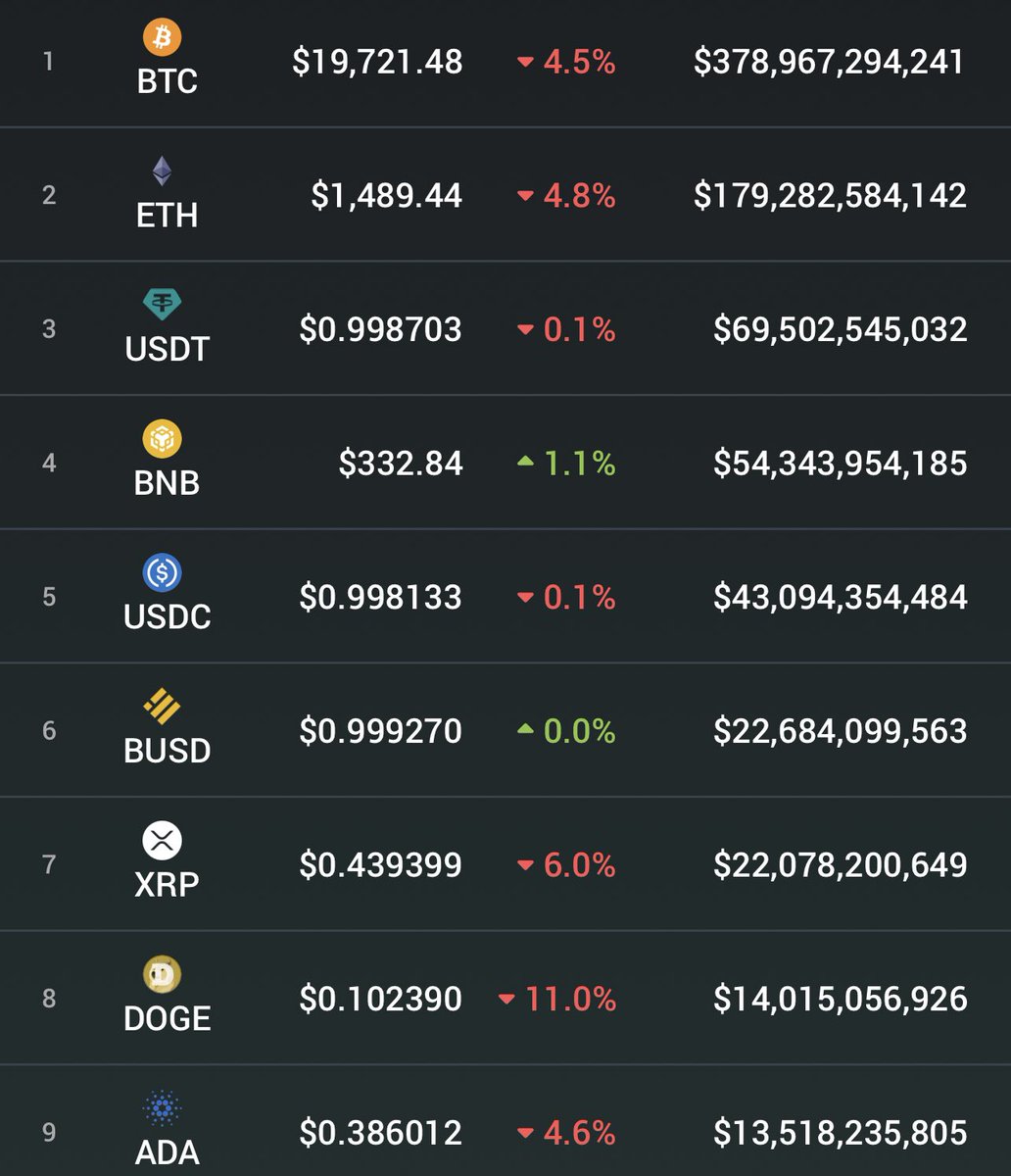 Catrhine tweet media