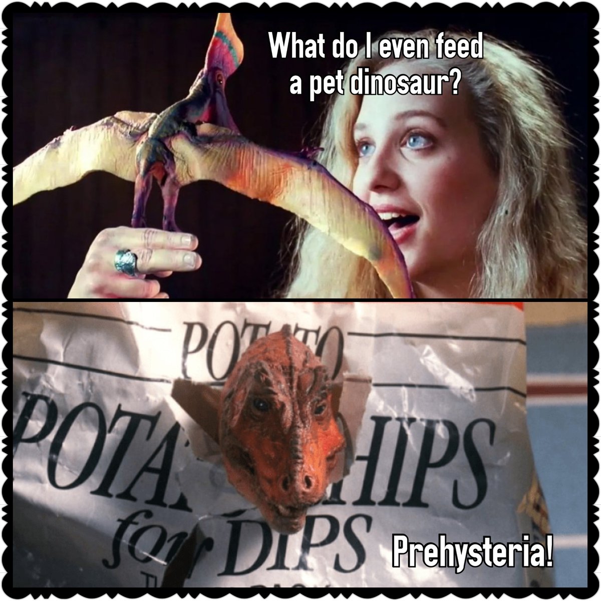 Steve-EILFM Podcast tweet media