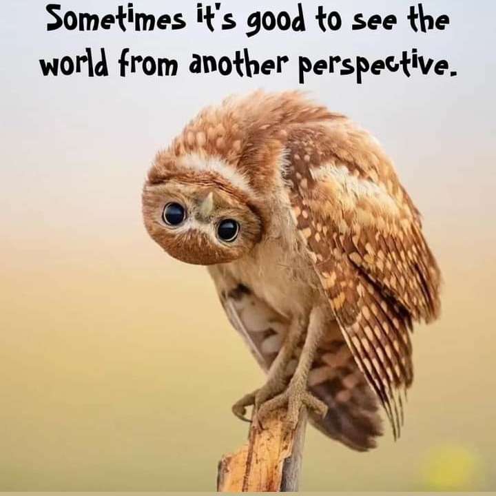 NCR1808's tweet photo. #PerspectiveMatter 🙃🙂 https://t.co/7mC6g2FzwC