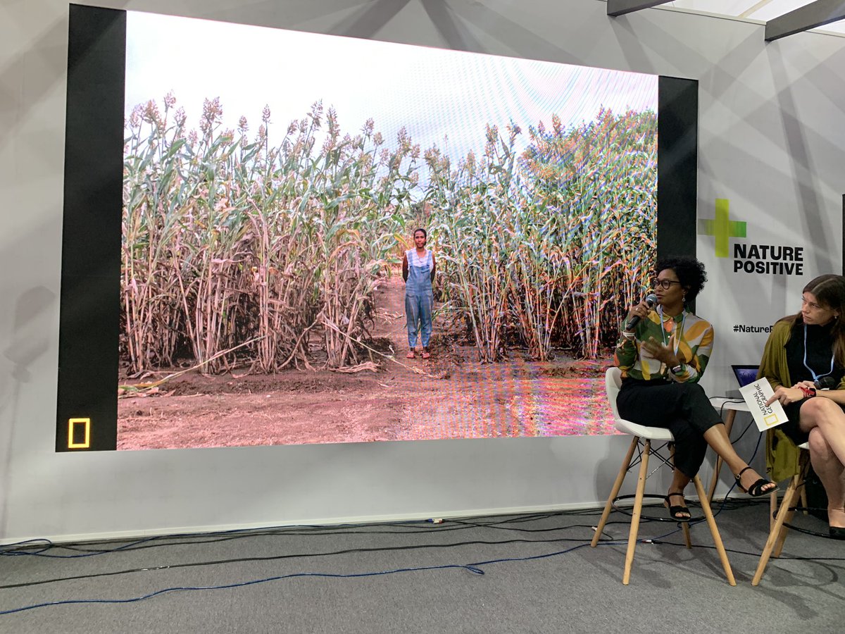 “It’s very emotional. You feel the suffering of the people.” At #COP27, @MioraRajaonary on the impact climate change has on local communities. Miora is a #NatGeoExplorer documenting the #climatecrisis as part of the @InsideNatGeo & #TheClimatePledge Global Storyteller Fund.