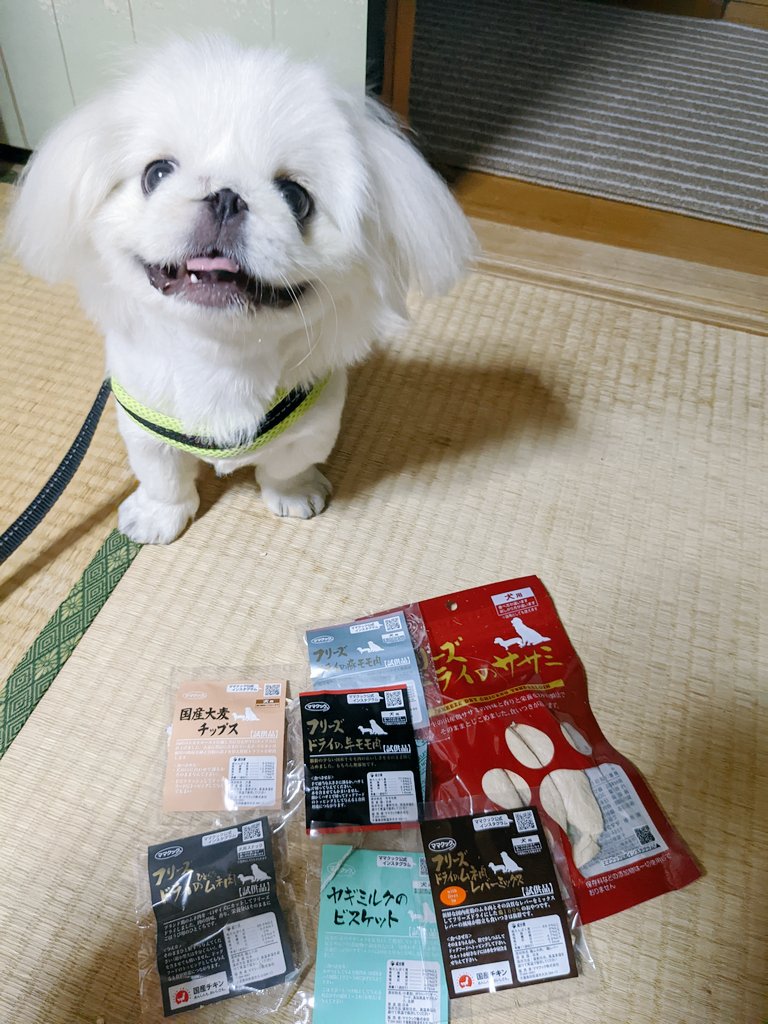 haku_20210303_'s tweet photo. ママクックからおやつもらったぜ🐾
#ママクック
#mamacook
#フリーズドライ
#犬のいる生活 
#犬のいる幸せ 
#犬のいる暮らし https://t.co/9YMGD3wBMu