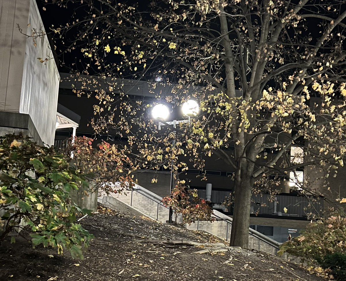 Ivan E. Wang tweet media