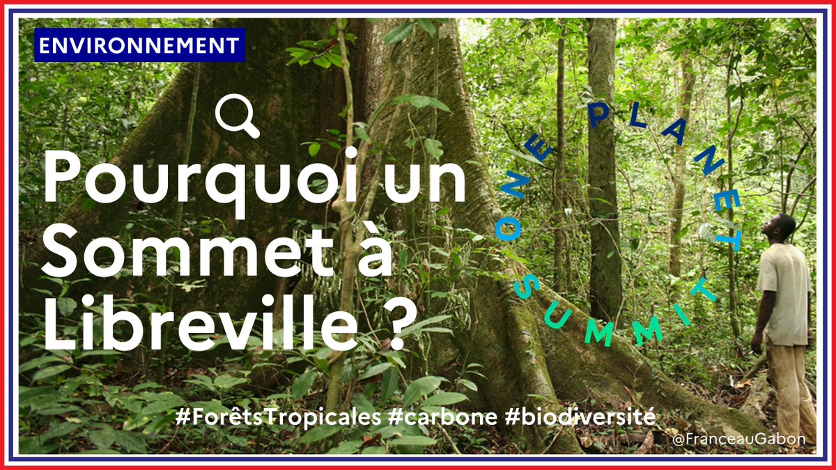 1/5🌍Pourquoi un sommet à #Libreville? La forêt du bassin du Congo est le 2e poumon vert du monde après l’Amazonie. Elle stocke du carbone essentiel à l'humanité pour rester sous la barre des 2°C de réchauffement. Sa préservation est donc un enjeu mondial.
<a href="/COP27P/">COP27</a> <a href="/Ecologie_Gouv/">Ministères Territoires Écologie</a>