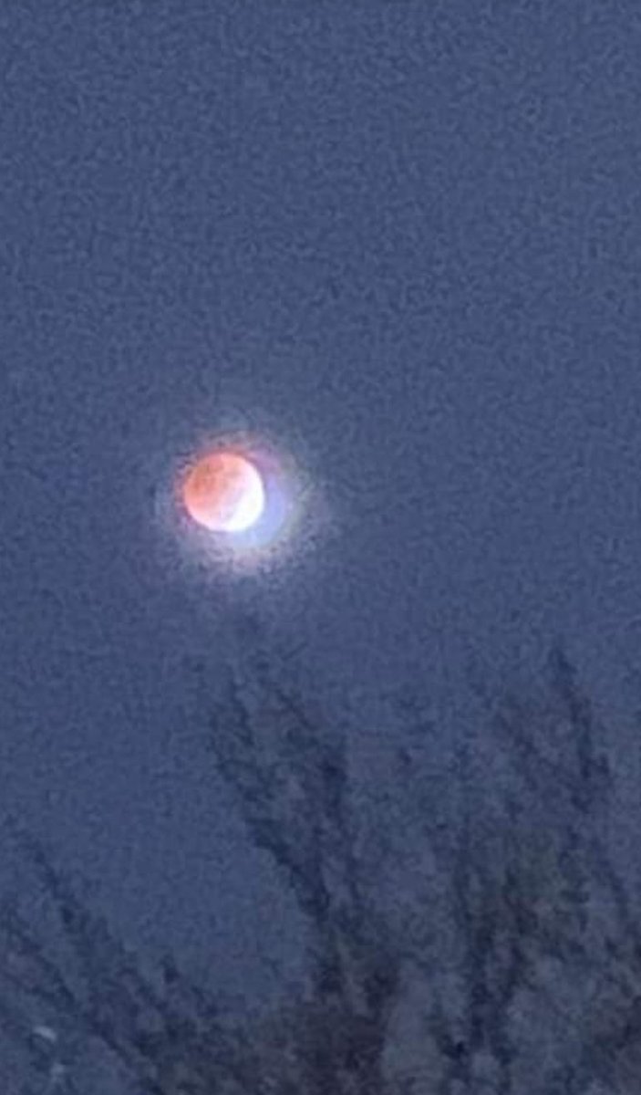 WICCA16989241's tweet photo. #bloodmoon2022 #blessedbe #newbeginning #Scorpio #Tuesdaytwitter https://t.co/rqpwDZhqnd
