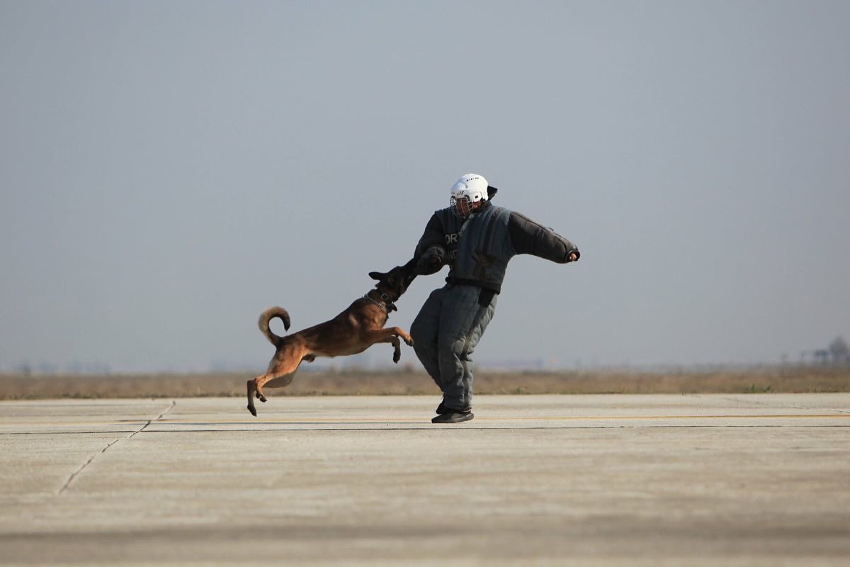 formedianews's tweet photo. «Ζευς» και «Δαίδαλος» κατέκτησαν τους αιθέρες της Λάρισας
Με τις αεροπορικές επιδείξεις των ομάδων «Ζευς» και «Δαίδαλος» στους κορυφώθηκαν σήμερα οι εορταστικές εκδηλώσεις της Πολεμικής Αεροπορίας για τον εορτασμό του προστάτη της, Αρχαγγέλου Μιχαήλ. #formedia #HellenicAirForce https://t.co/FNfxvXI1RN