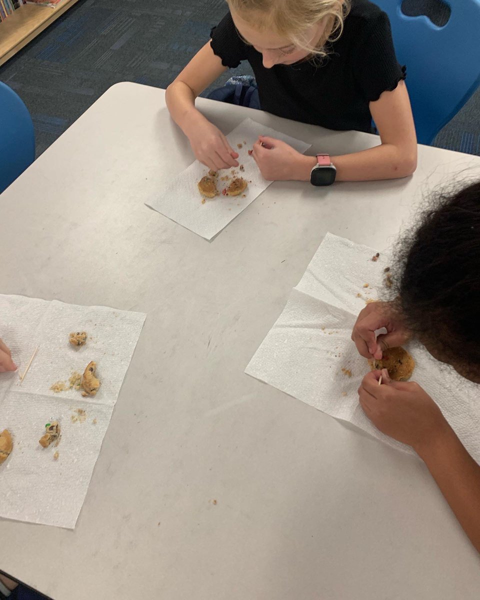 Ms_Matthews_'s tweet photo. Students got to do their first science experiment yesterday! Chipping away at a ‘rock’ to separate the different ‘minerals’ it contained. https://t.co/tgNf1mpyAc
