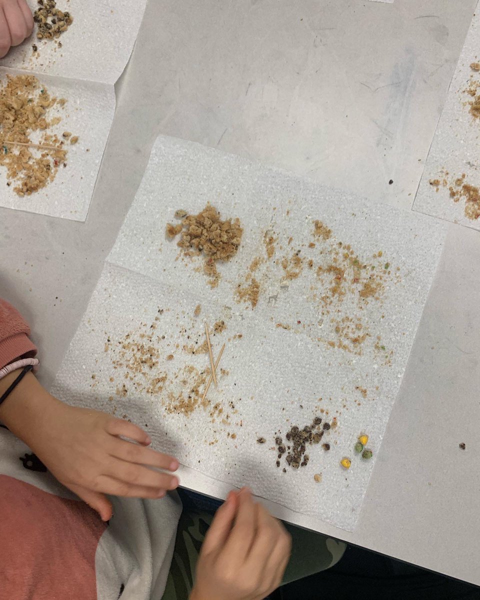 Ms_Matthews_'s tweet photo. Students got to do their first science experiment yesterday! Chipping away at a ‘rock’ to separate the different ‘minerals’ it contained. https://t.co/tgNf1mpyAc