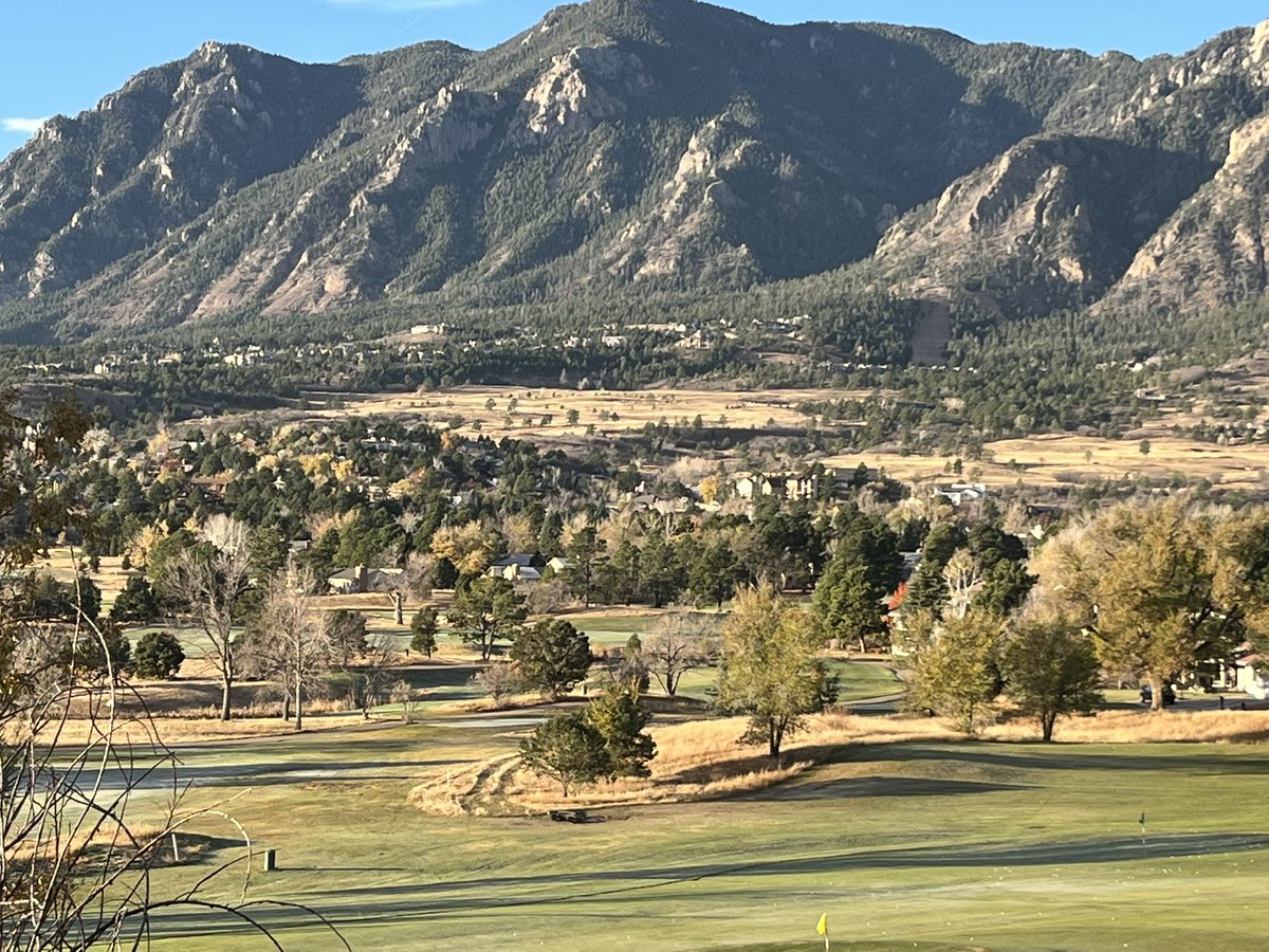 TJ Bonham tweet media