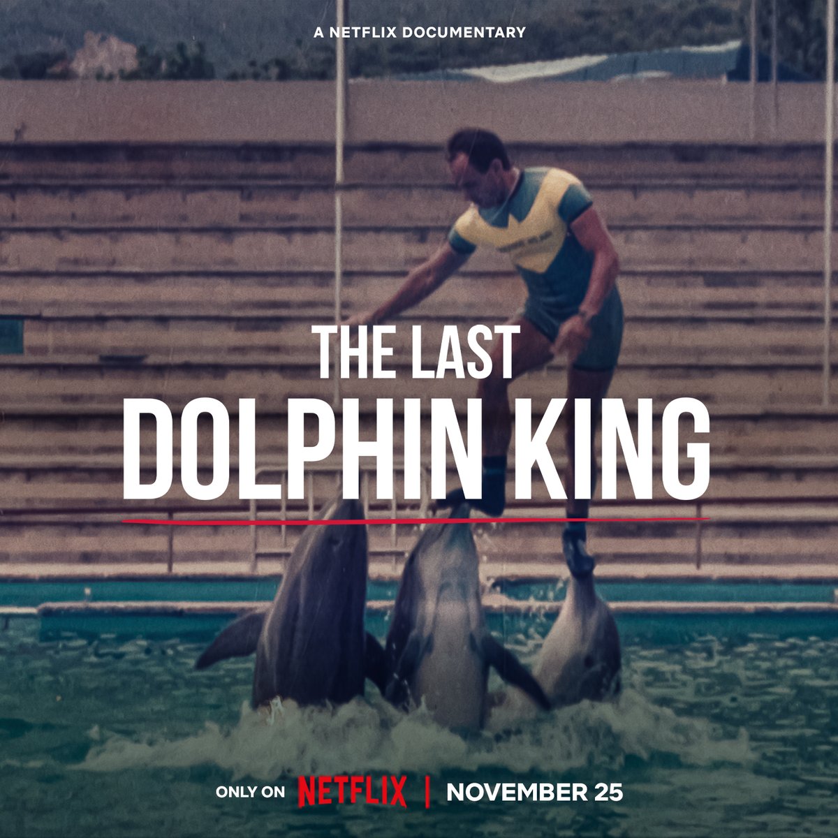 Luis Ansorena tweet media