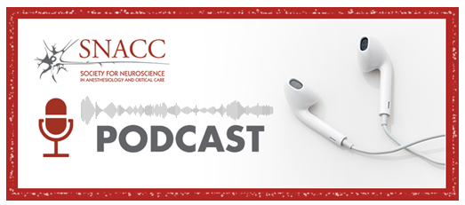 The SNACC and JNA podcasts are now available to download and follow through Google, Spotify, and Apple. Connect via your favorite platform and access all new podcasts. 

🔶 Apple:  apple.co/3TXgkBp
🔶 Spotify: spoti.fi/3DMO2E9
🔶 Google: bit.ly/3gYmTVz