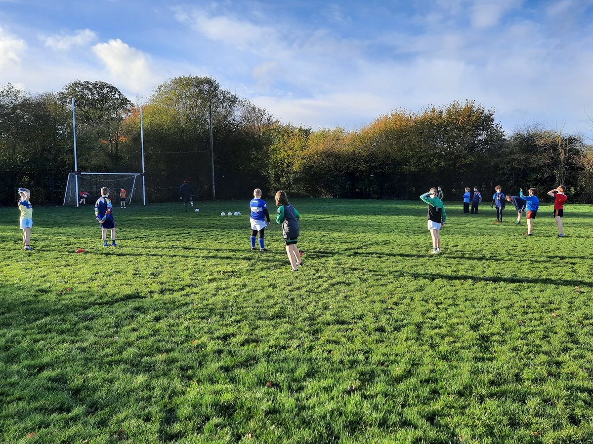 gaelscoilphortlaoise tweet media