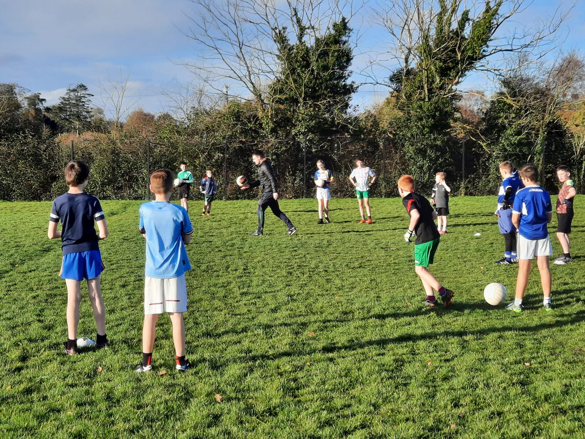 gaelscoilphortlaoise tweet media