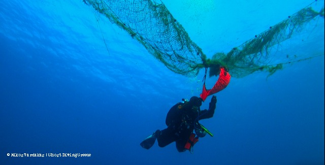 solomilne's tweet photo. #CoastsUntangled is on @euronews!
Using drones & diving to uncover #GhostGear across Greece. Learn about our new project in Greek here.
#Tech4Wildlife #Drones4Good #ALDFG
https://t.co/cCmsVh08L9 https://t.co/ow0TxVdrK4