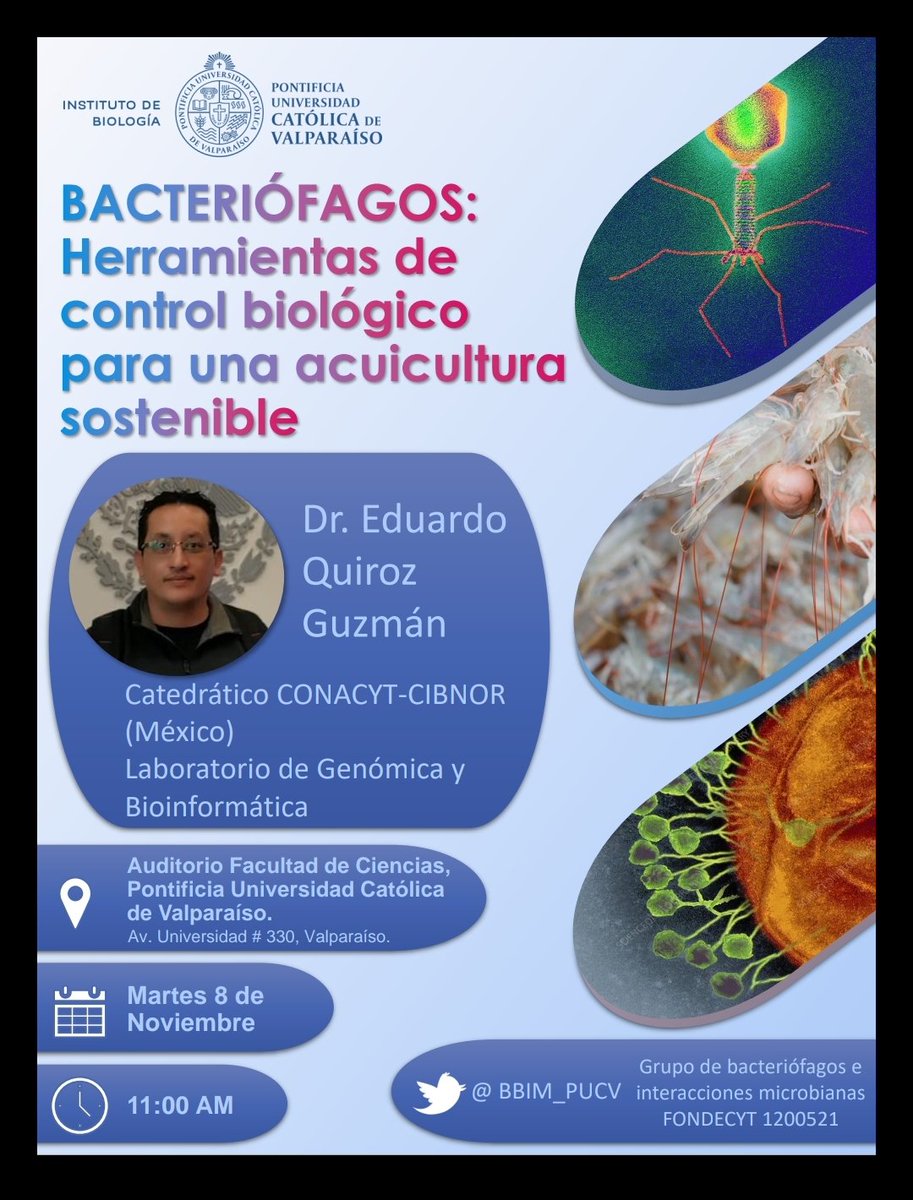 Bacteriófagos e Interacciones Microbianas tweet media