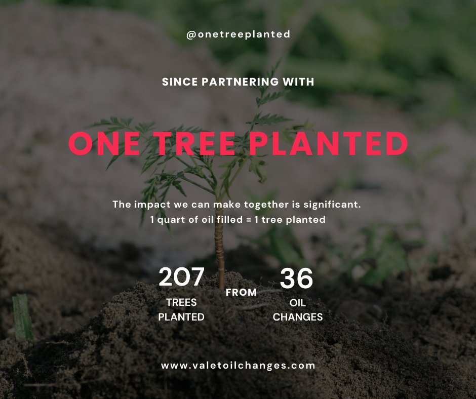 ValetOilChris's tweet photo. UPDATE! 
32 People have planted 207 Trees!
1 quart filled = 1 tree planted

You have to get your oil changed anyway, why not make it count?

https://t.co/lsnxp6sRQr
#onetreeplanted #oilchange #positiveimpact #environment https://t.co/8HREW1WL2a