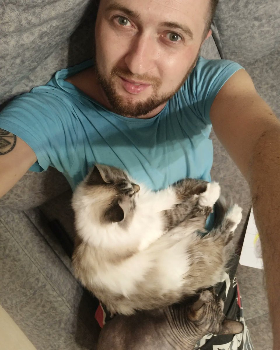 vsdvorkin's tweet photo. В квартире у кошек есть две лежанки: мобильная и стационарная https://t.co/pBWTlGK00s