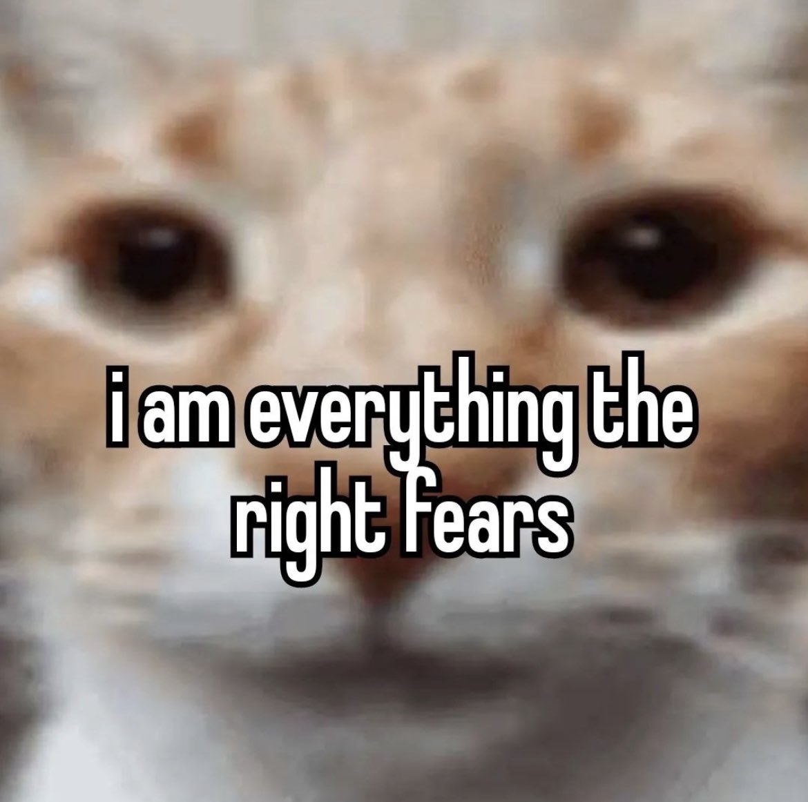 AstrxIsTyping's tweet image. #boogletwt #bootwt me fr