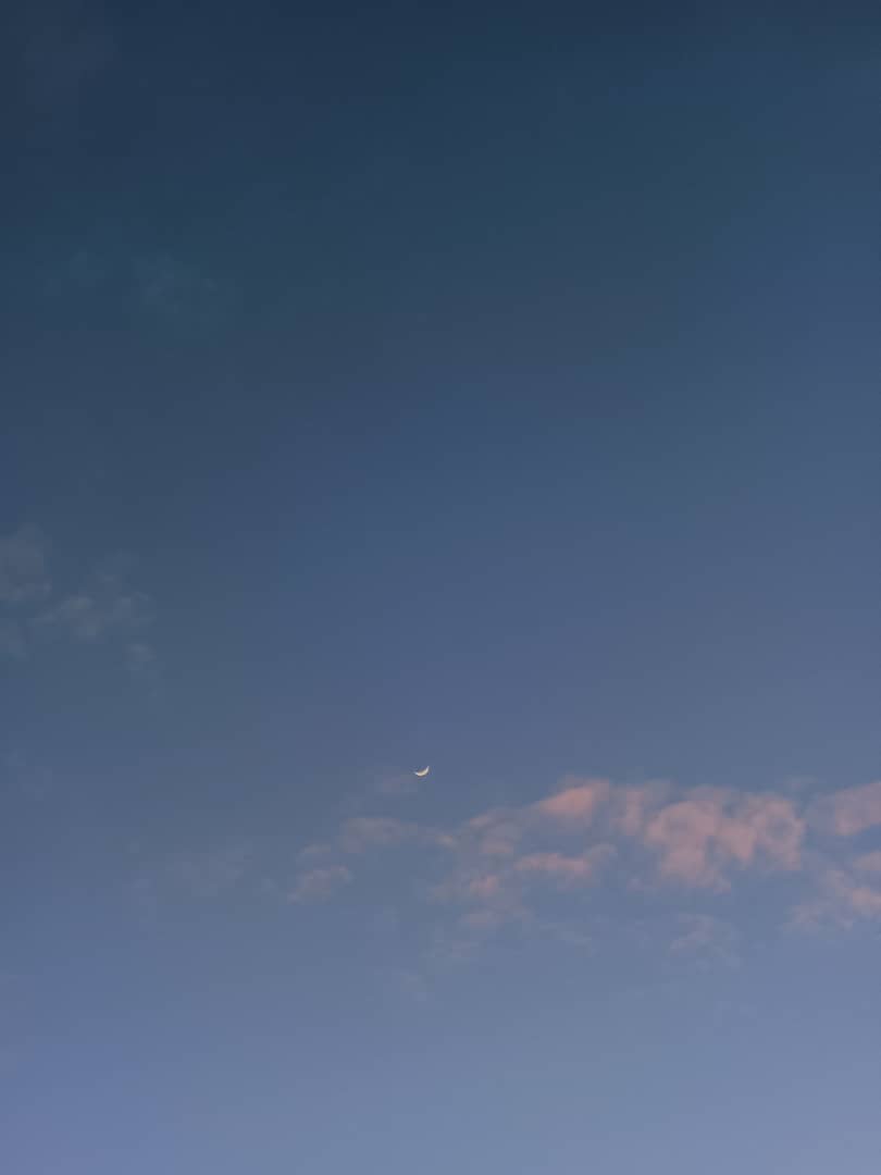 piuling's tweet photo. https://t.co/Hq1mF9ma98