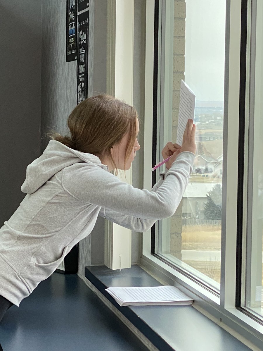 Authentic work? 🙋‍♀️ check out how <a href="/KiellyRichter/">Kielly Richter</a> put her Ss learning of graphing &amp; the coordinate plane into action through a treasure hunt!   Minecraft, world war &amp; tropical themes just to name a few!  #learnbps