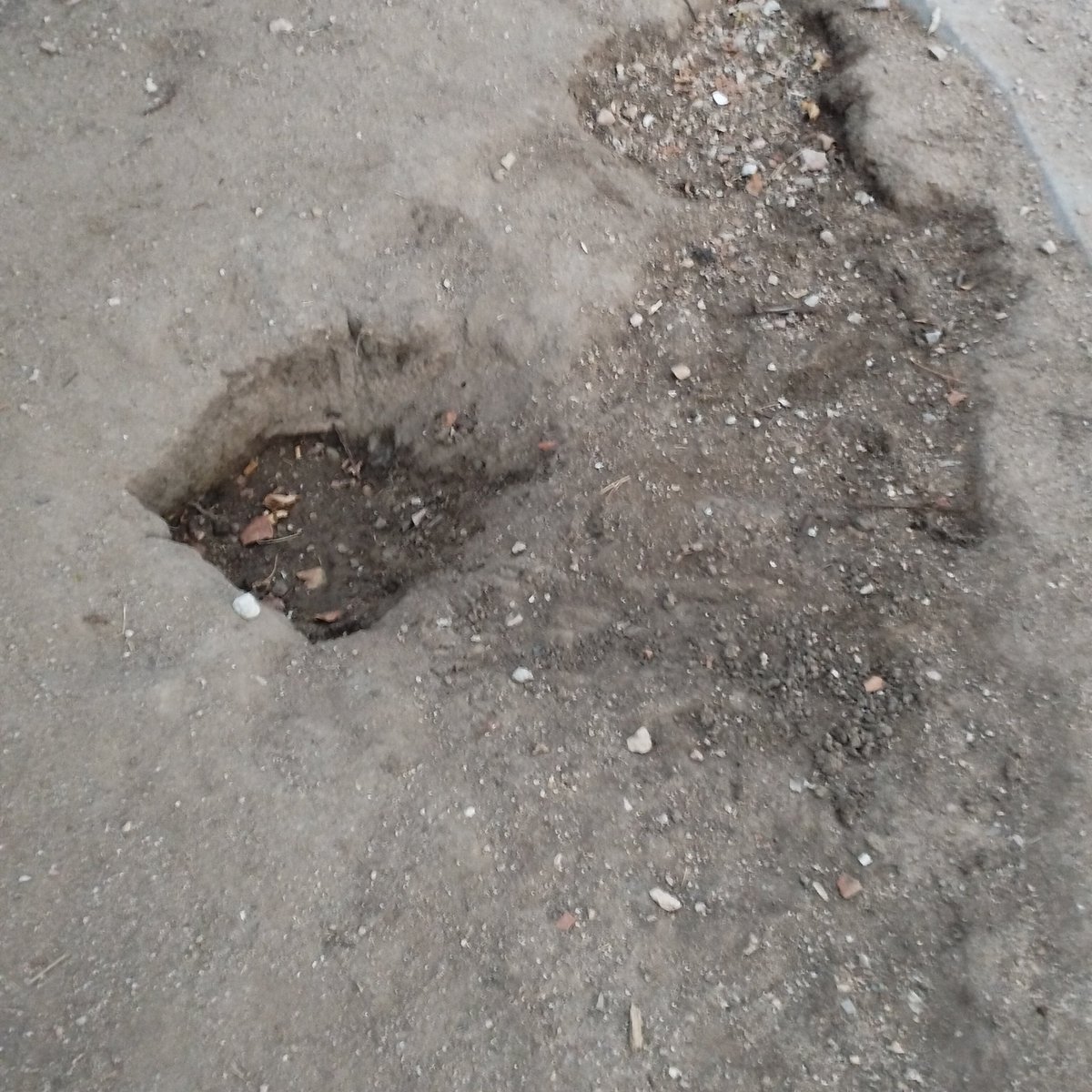 CampoPaloma_VK's tweet photo. Según el @MADRID el terreno está en buen estado, debe ser que no se han acercado lo suficiente para ver qué el suelo es cascajo y está lleno de cristales. La capa de arena/tierra que debía de tener ha desaparecido por las inclemencias del tiempo y por el uso. No hay mantenimiento https://t.co/2CakbDb6qs