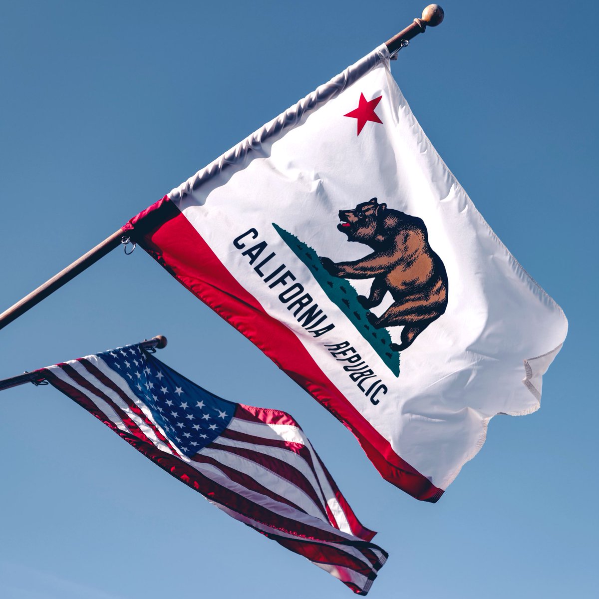CALIFORNIA.
GO VOTE.

RAIN OR SHINE!