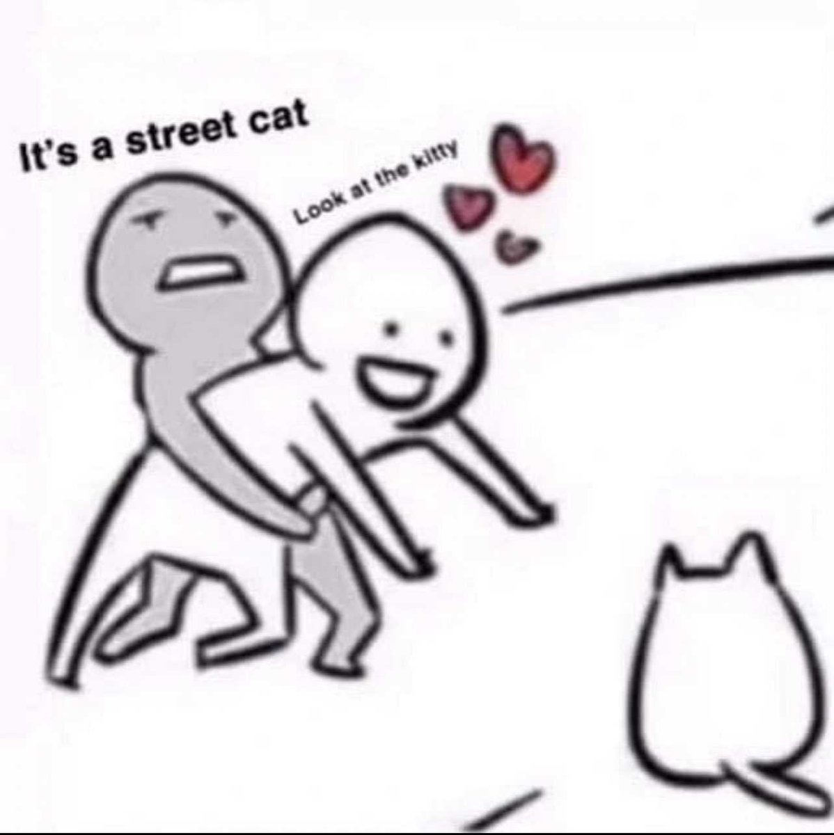 Me everytime i see cat