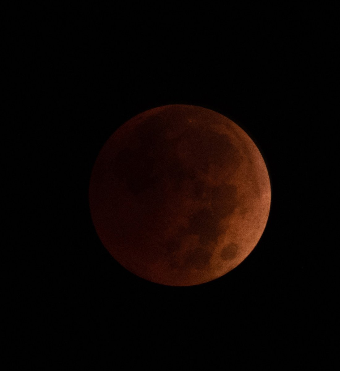 Layne Cameron tweet media