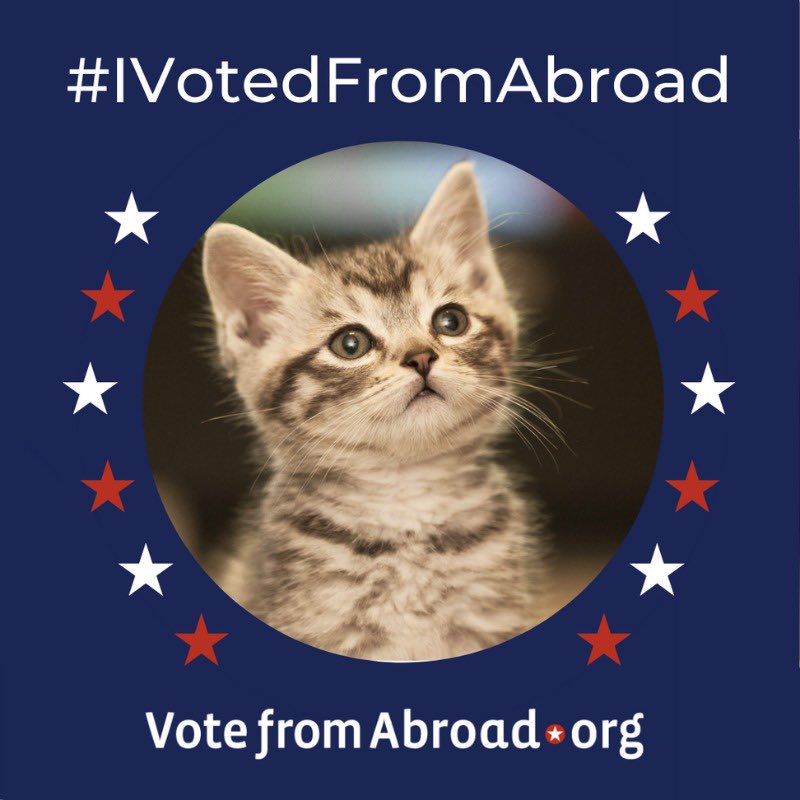 wwlindroth's tweet photo. Happy US Election Day, please vote for everything that makes our country great and will make it greater over the coming decades! Vote for progress, our youth and the future! #vote #usa #midterms2022 #votefromabroad https://t.co/9OlrWRjx9s