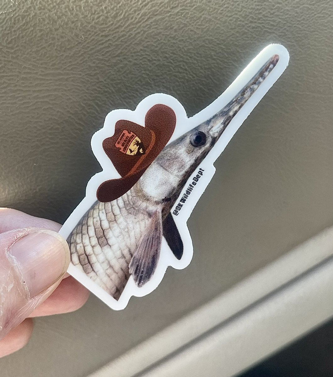 Thank you <a href="/OKWildlifeDept/">Oklahoma Department of Wildlife Conservation</a>, I love him!! #GarWeek was a gar-gantuan success. Can’t wait for the next one!