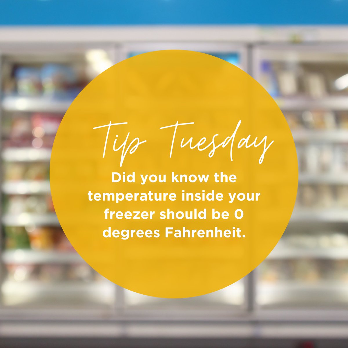 NorthernChef's tweet image. #TipTuesday

Did you know the temperature inside your freezer should be 0 degrees Fahrenheit? Check your freezer periodically with a thermometer as temperatures can change over time, especially with shifts in weather and as your freezer ages.

#taifoongusa #freezertips