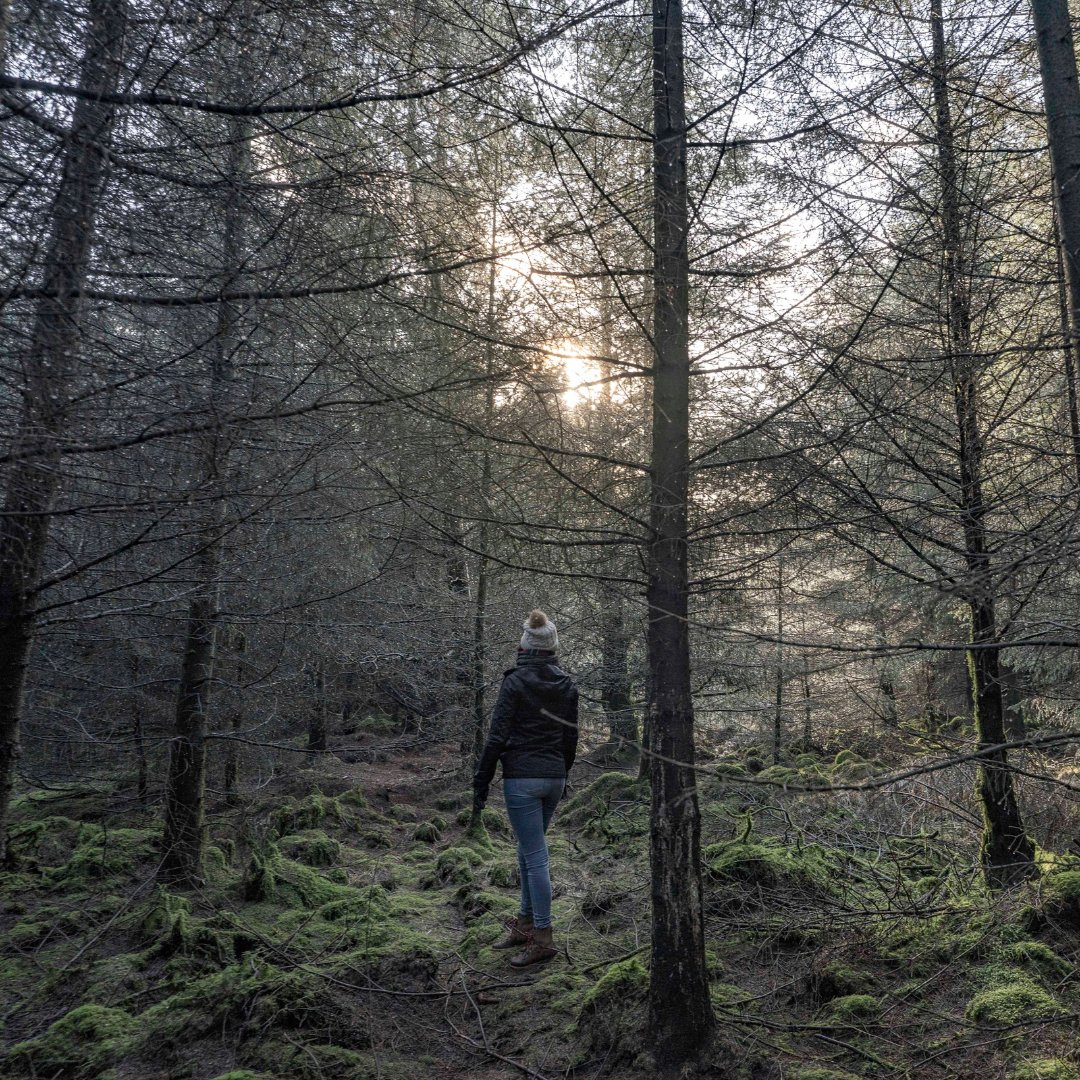 This #StressAwarenessWeek, carve out some time to enjoy the calming benefits of nature 💭

Lots of forest sights, sounds and smells can be relaxing, but which are your favourites?

Discover the unique sensory experience on offer at your local forest 👉​ forestryengland.uk/visit