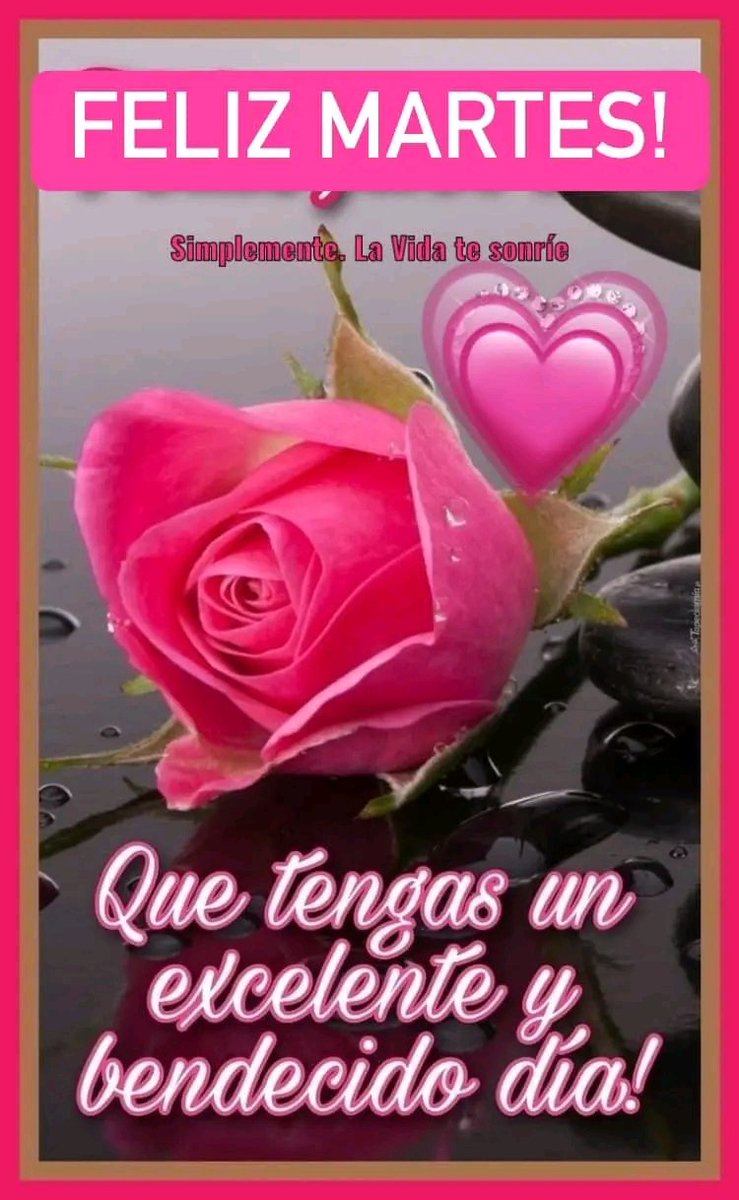 Hola buenos días!! Chicas Qué tengan un excelente y bendecido día 😘🌹🌹🌹