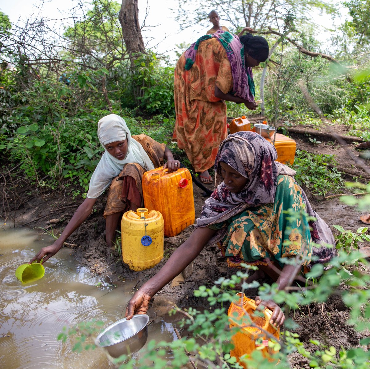 In coffee-growing communities where the water crisis is most felt, collecting water is a woman’s job.  

In our latest blog post we explore the impact of the water crisis on women and girls using 25-year-old Amina's experiences. 

Read the blog here: projectwaterfall.org/our-blog/gende… 💙