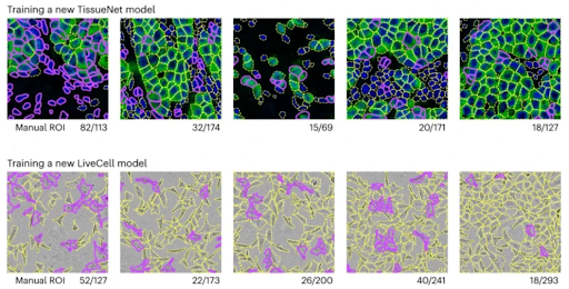 Nature Methods (@naturemethods) on Twitter photo Out yesterday from <a href="/marius10p/">Marius Pachitariu</a> and <a href="/computingnature/">Carsen Stringer @Computingnature@neuromatch.social</a>: Cellpose 2.0 offers pretrained models and human-in-the-loop training for improved segmentation with fewer user annotated regions.
OA paper: nature.com/articles/s4159… Out yesterday from <a href="/marius10p/">Marius Pachitariu</a> and <a href="/computingnature/">Carsen Stringer @Computingnature@neuromatch.social</a>: Cellpose 2.0 offers pretrained models and human-in-the-loop training for improved segmentation with fewer user annotated regions.
OA paper: nature.com/articles/s4159…
