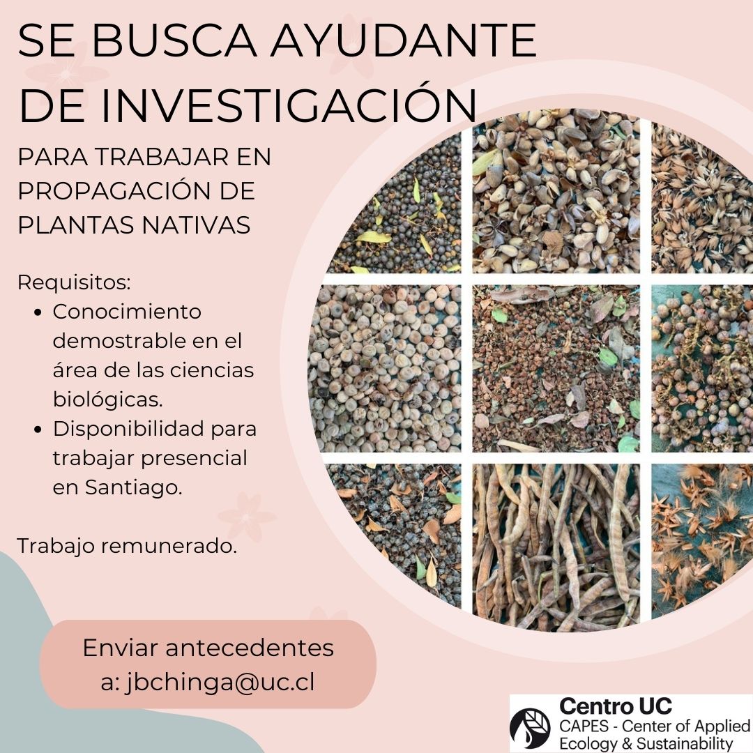 Javiera Chinga tweet media