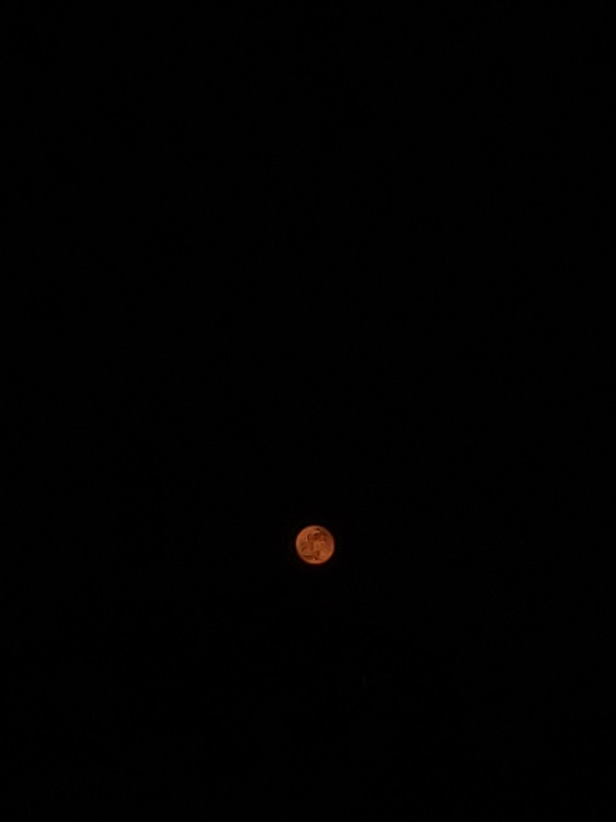 roc_hell's tweet photo. #lunareclipse2022 #LunarEclipse #BloodMoon #bloodmoon2022 #Mumbai

🤍 https://t.co/qgaQ3xA7d9