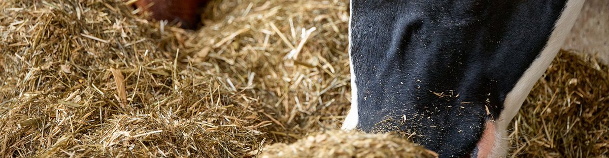 KringloopTip: Sturen op minder stikstofemissies (mijnkringloopwijzer.nl)