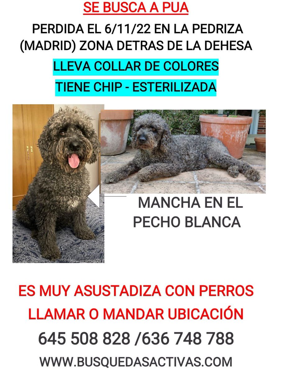 Marina_fdz5's tweet photo. https://t.co/su1pZ5zO7g