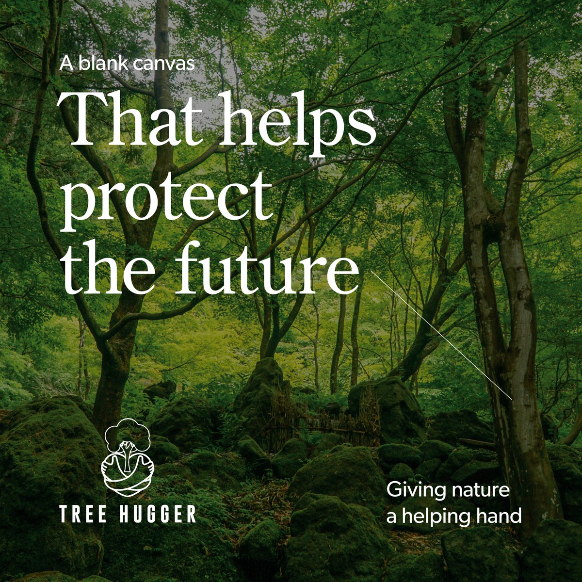 TreeHugger tweet media