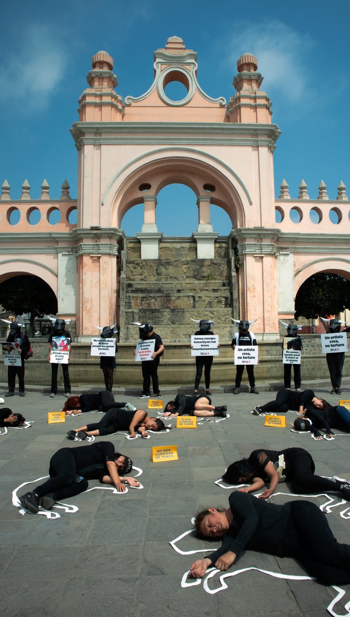 peta's tweet photo. Bullfighting isn't tradition—it’s ritualistic MURDER.

@PETA_Latino &amp; @AchoSinToros supporters protested the most famous bullring in Lima, Peru—join them in urging Lima’s new mayor to enforce the ban on bullfighting! https://t.co/UKeos80sXR https://t.co/oYnIe4XSMy