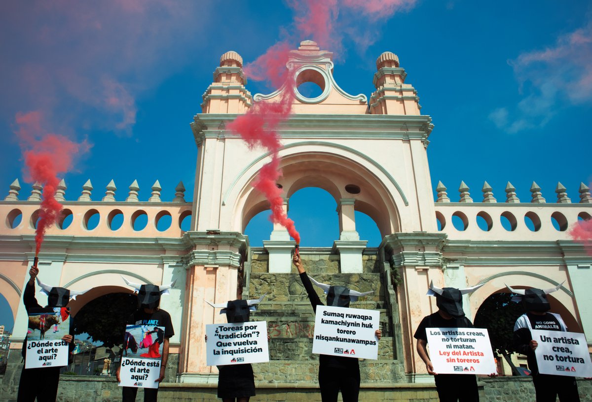 Bullfighting isn't tradition—it’s ritualistic MURDER.

<a href="/PETA_Latino/">PETA Latino</a> &amp; <a href="/AchoSinToros/">Acho Sin Toros</a> supporters protested the most famous bullring in Lima, Peru—join them in urging Lima’s new mayor to enforce the ban on bullfighting! peta.vg/3j3r
