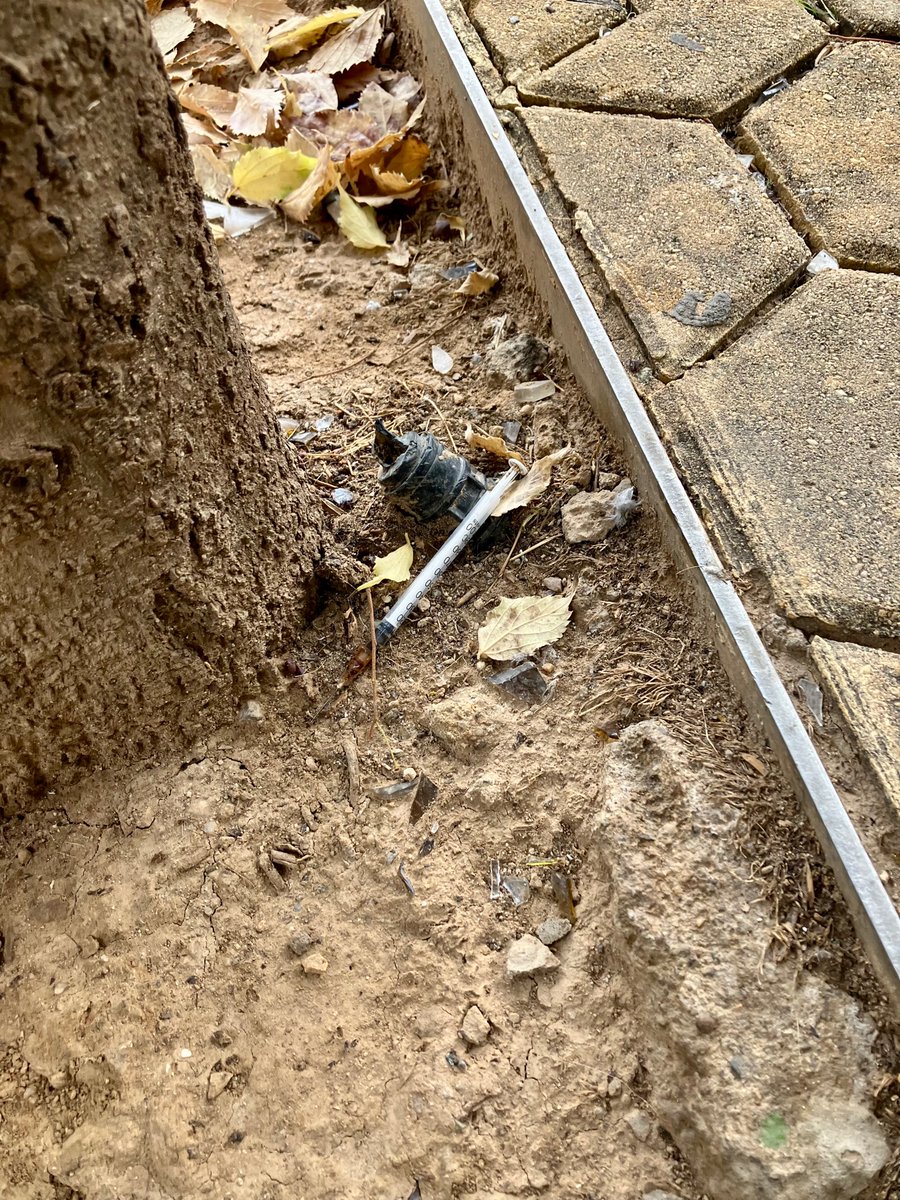 alvarobbaa's tweet photo. VERGONZOSO. Segunda jeringuilla usada que encuentro en las inmediaciones del parque infantil de la Alameda de Hércules. @ayuntamiento https://t.co/8iaYX2yd3w