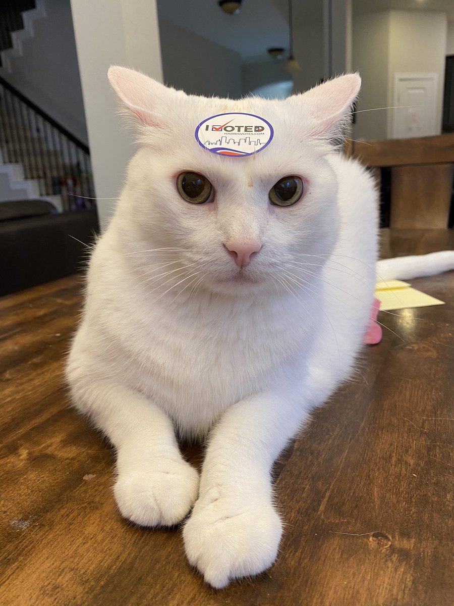 #IVoted ♥️🤍💙