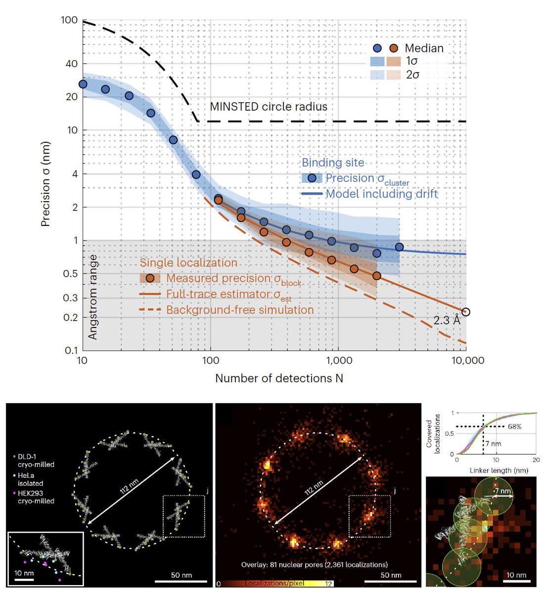 #STED at Å precision! See nature.com/articles/s4158…
New article by Weber, von der Emde et al. Fantastic applications ahead; stay tuned!
#Nanoscopy #Superresolution #Microscopy <a href="/mpi_nat/">MPI for Multidisciplinary Sciences</a>