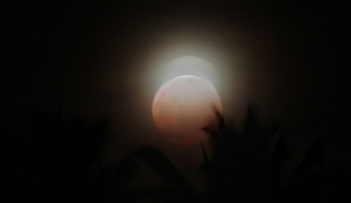 Astroph21's tweet photo. Total Lunar Eclipse!🌕🔴 
11.08.22

Canon EOS 3000D with 75-300mm lens. 

#lunareclipse2022 #BloodMoon #BeaverMoon #BeaverBloodMoon #MOON #Selenophile #moonshot #canonphotography #astronomy #Astrophotography https://t.co/7xLzGX7gNm