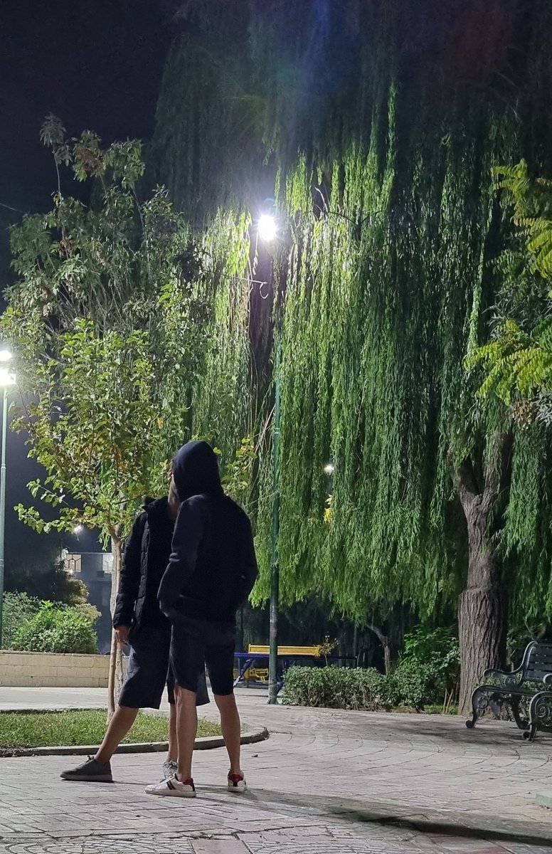 sewii_x's tweet image. پسر داییم این عکسشونو فرستاده برام میگه بزار توییتر عادی سازی شه..
برای عادی سازی پسرامون:)
#مهسا_امینی