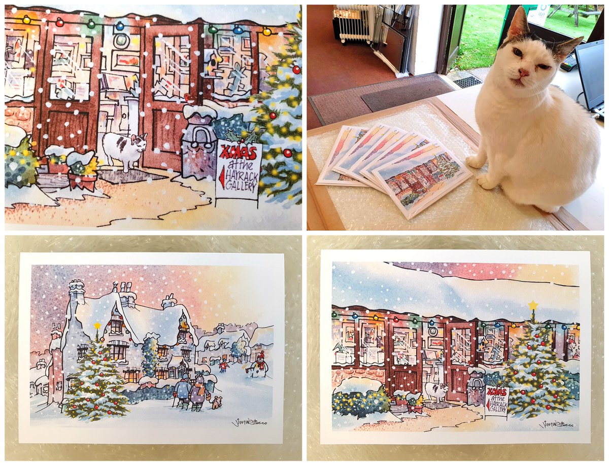 I've been showing Bounty the new Christmas cards that feature her and the gallery, I think she is impressed but sometimes it's hard to tell. 
A very big thank you to local artist Jim Watson who kindly designed and produced the cards for us.
<a href="/OldDairyFarmNN7/">Old Dairy Farm NN7</a> #catsatwork #hayrack20
